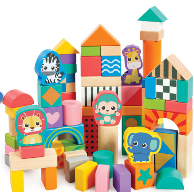 Early Learning Centre Wooden Bricks - Image 2