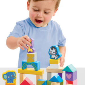 Early Learning Centre Wooden Bricks